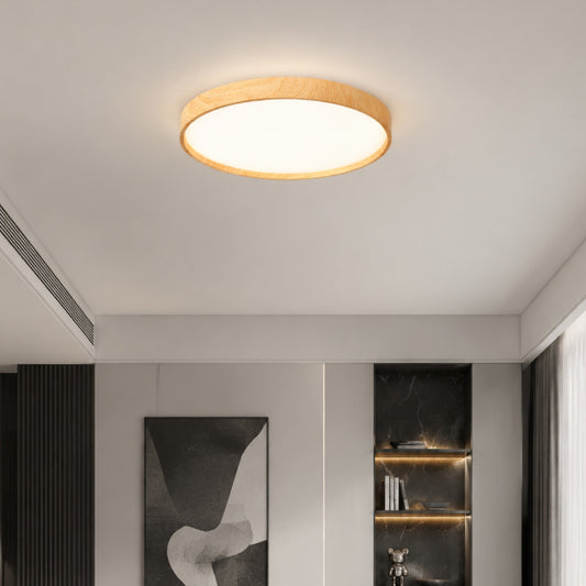 Ceiling Lights-ACP2024