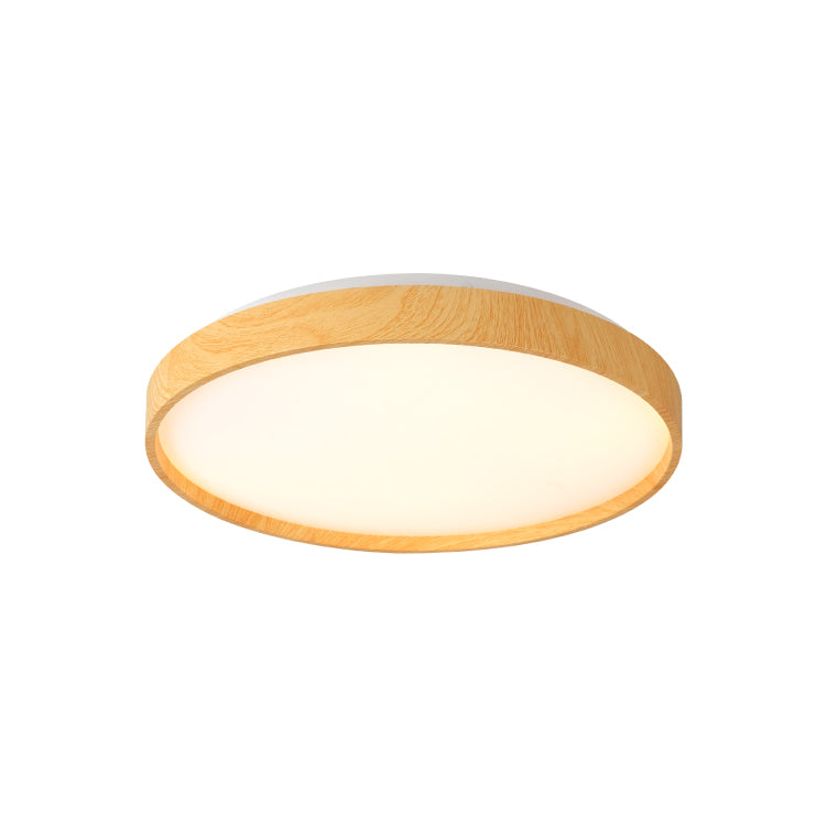 Ceiling Lights-ACP2024