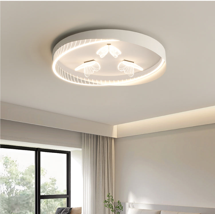 Ceiling Lights-AL6172-C