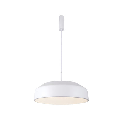 Pendant Lights-AC7046