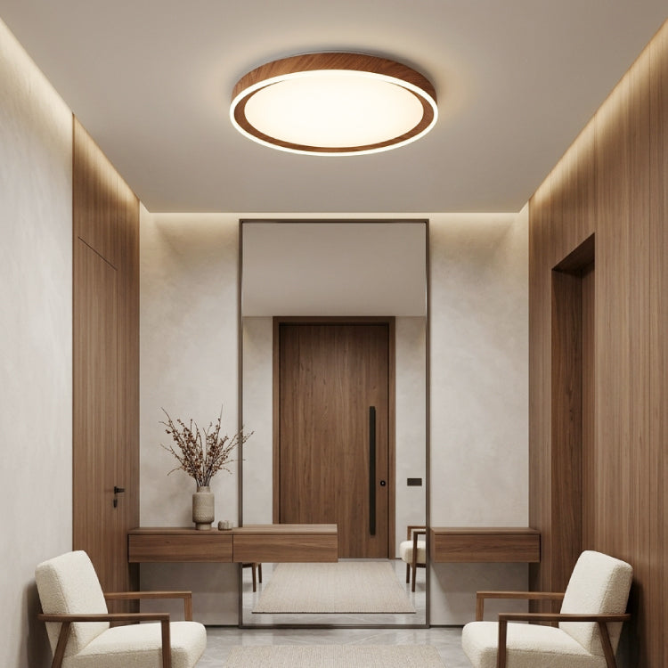 Ceiling Lights-ACP2020