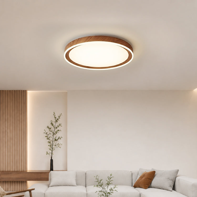 Ceiling Lights-ACP2020