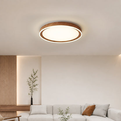 Ceiling Lights-ACP2020