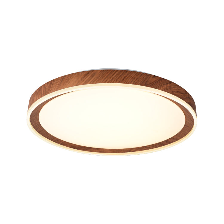 Ceiling Lights-ACP2020