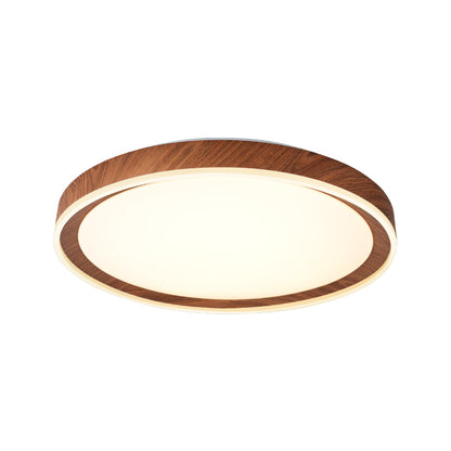 Ceiling Lights-ACP2020