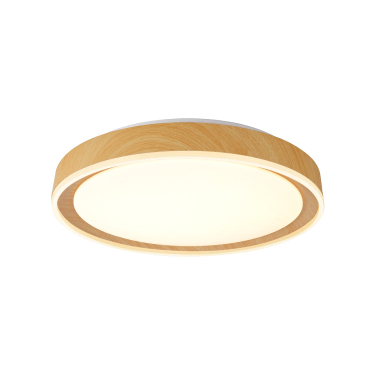 Ceiling Lights-ACP2020