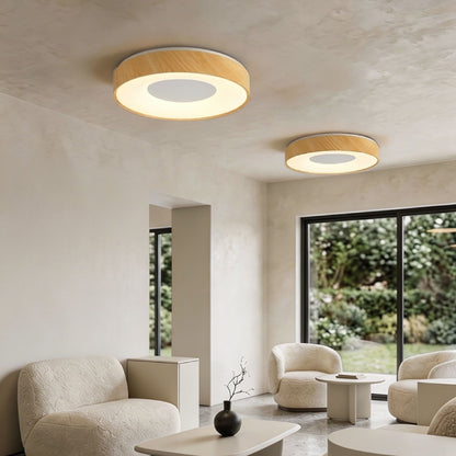 Ceiling Lights-ACP2021