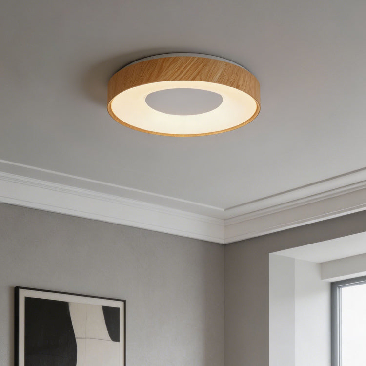 Ceiling Lights-ACP2021
