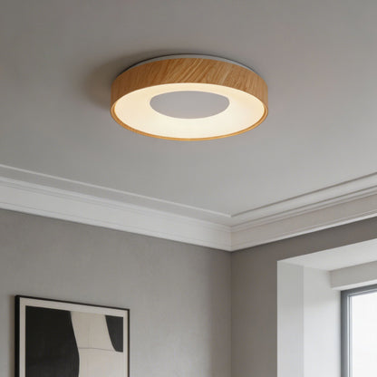 Ceiling Lights-ACP2021