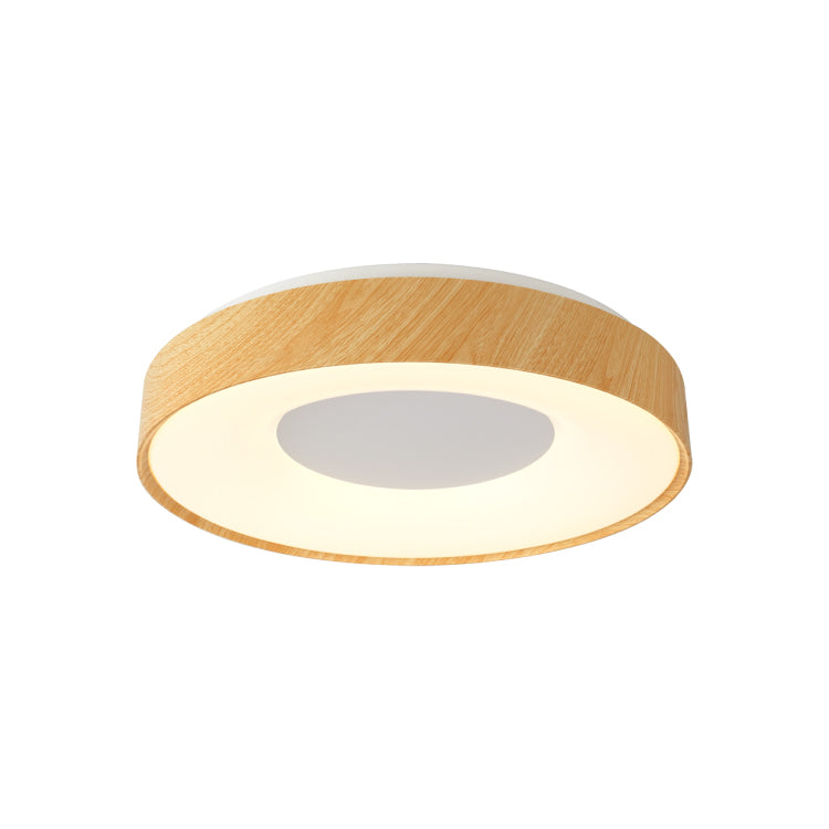 Ceiling Lights-ACP2021