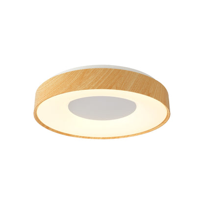 Ceiling Lights-ACP2021