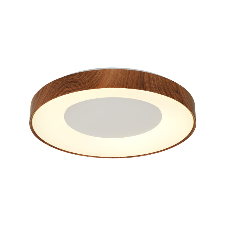 Ceiling Lights-ACP2021