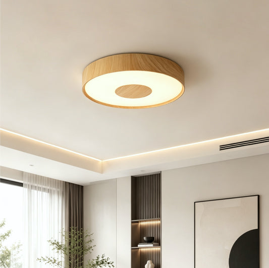Ceiling Lights-ACP2022