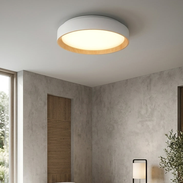 Ceiling Lights-ACP2023