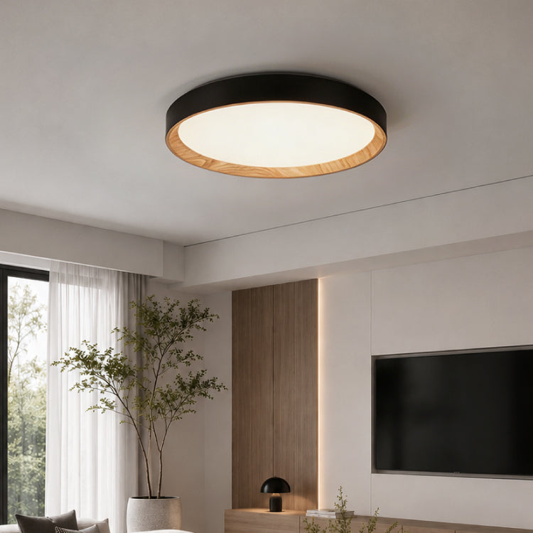 Ceiling Lights-ACP2023