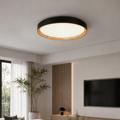 Ceiling Lights-ACP2023