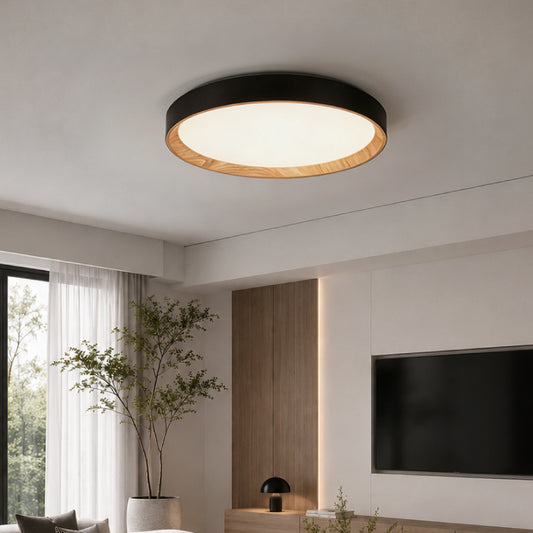 Ceiling Lights-ACP2023