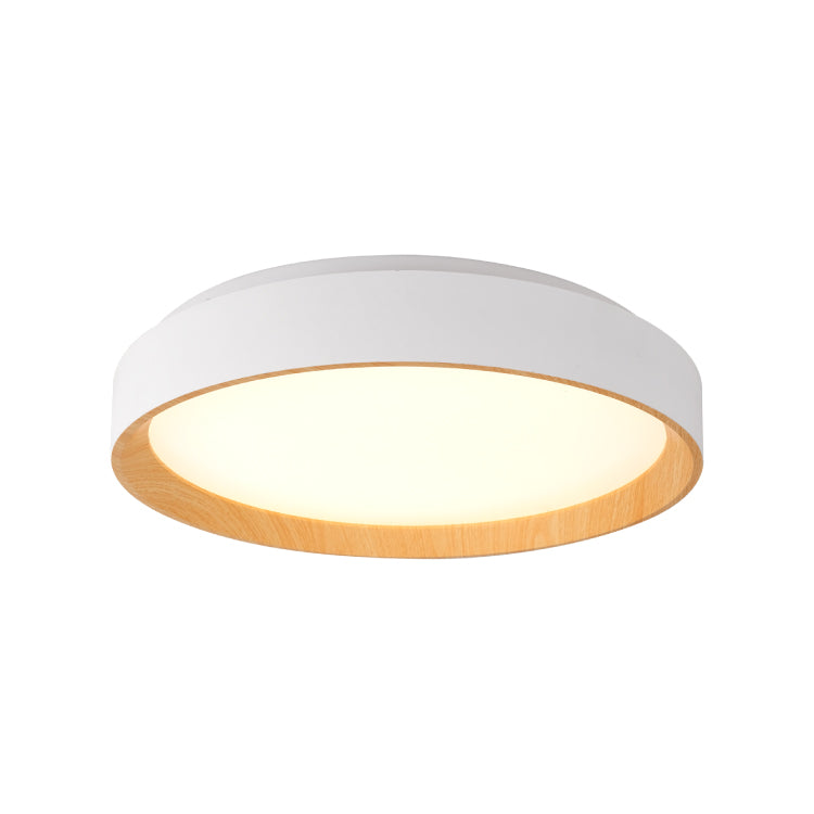 Ceiling Lights-ACP2023