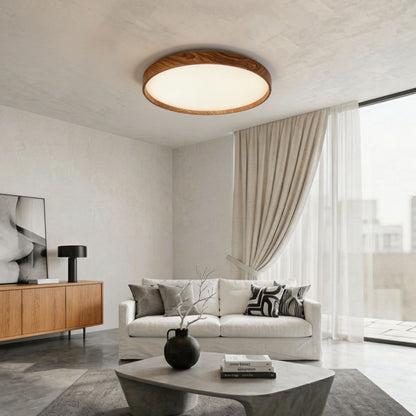 Ceiling Lights-ACP2024