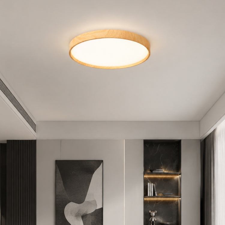 Ceiling Lights-ACP2024