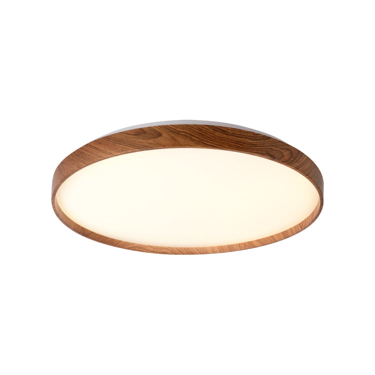 Ceiling Lights-ACP2024