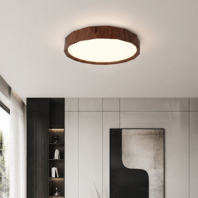 Ceiling Lights-ACP2025