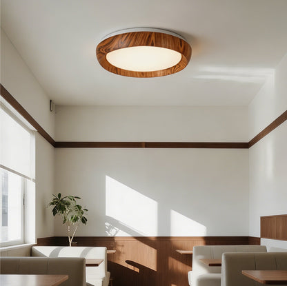 Ceiling Lights-ACP2026