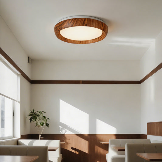 Ceiling Lights-ACP2026