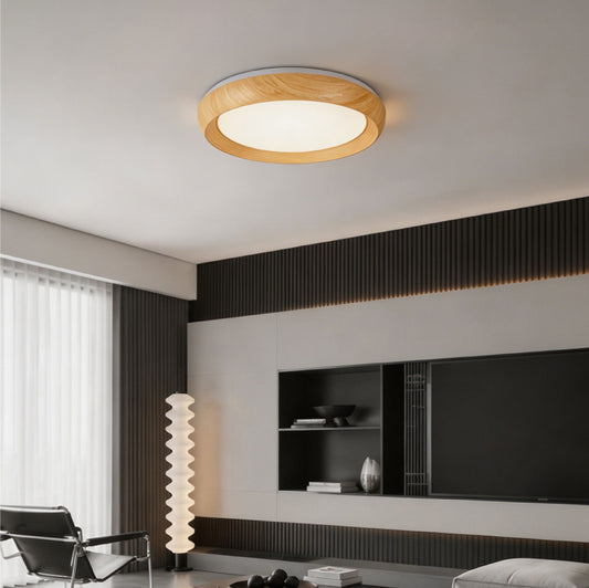 Ceiling Lights-ACP2026