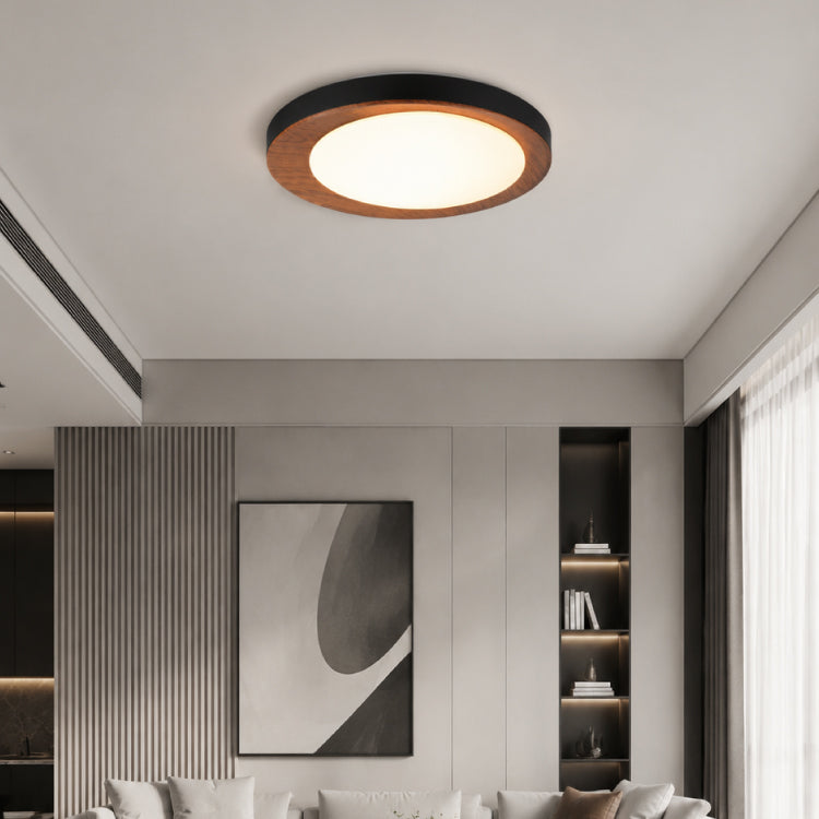 Ceiling Lights-ACP2027