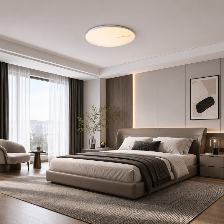 Ceiling Lights-ACP2028