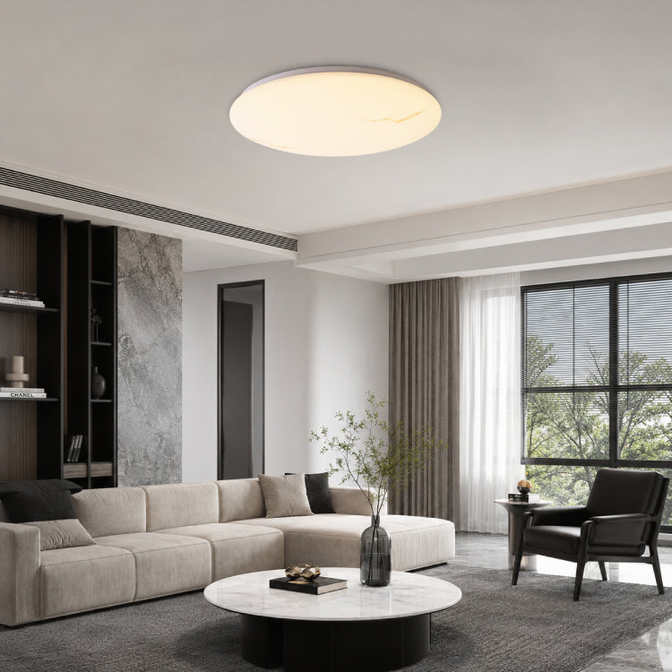 Ceiling Lights-ACP2028