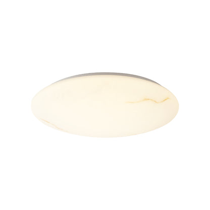 Ceiling Lights-ACP2028