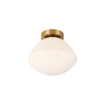Ceiling Lights-AG5138-CA