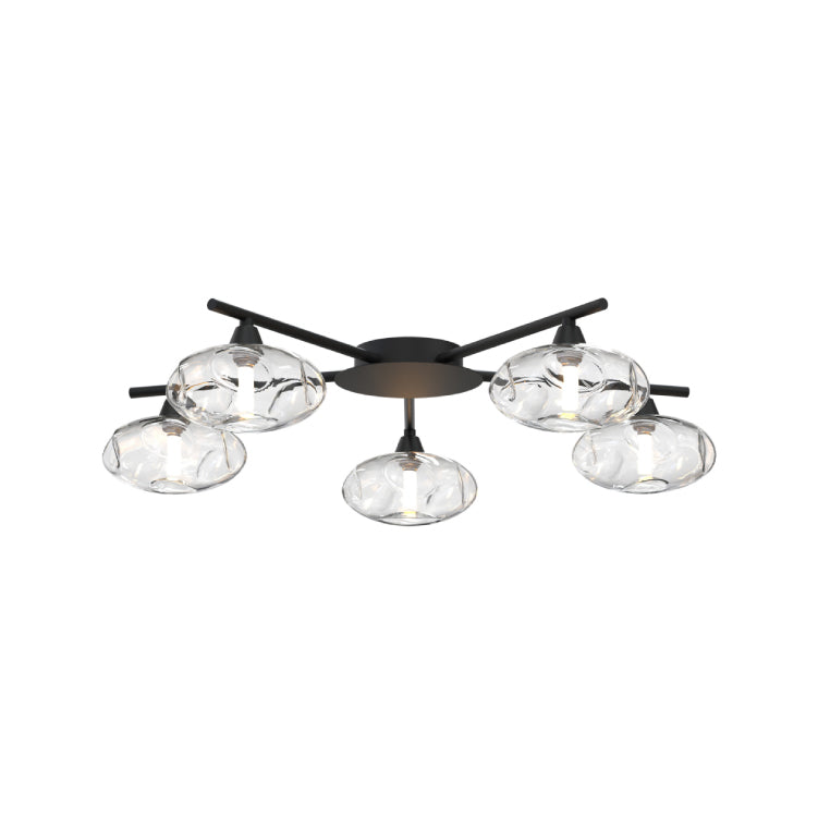 Ceiling Lights-AG5176-C