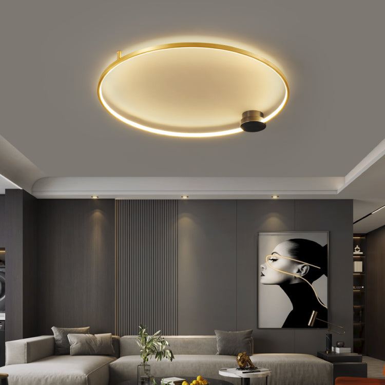 Ceiling Lights-AL448