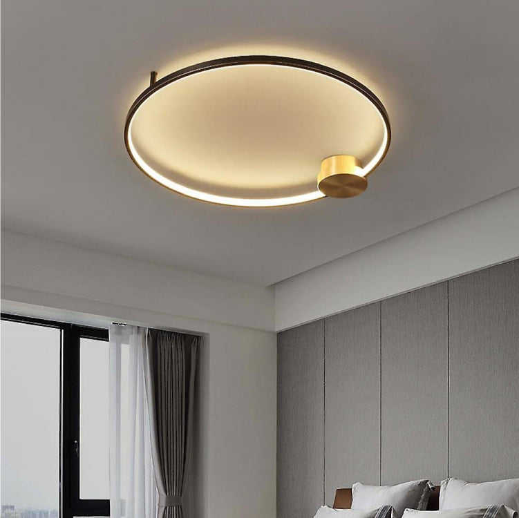 Ceiling Lights-AL448