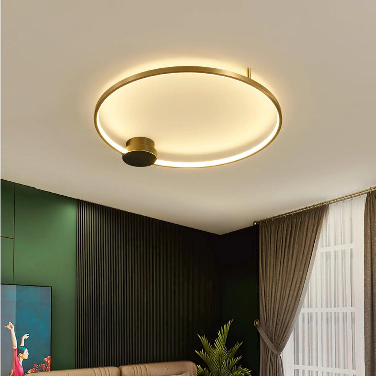 Ceiling Lights-AL448