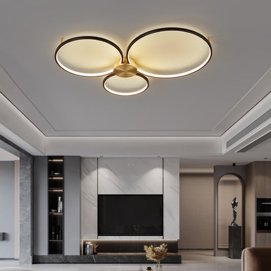 Ceiling Lights-AL450-3